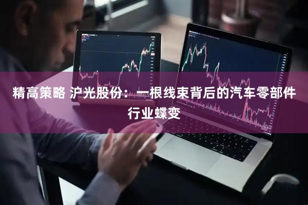 精高策略 沪光股份：一根线束背后的汽车零部件行业蝶变